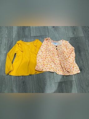 Bundle of two fall blouses size 3T